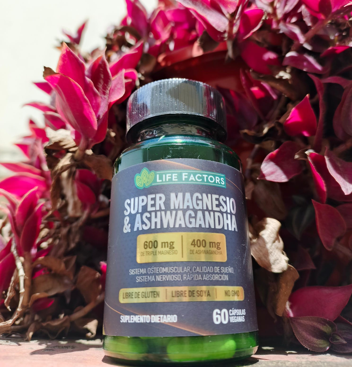 Magnesio y Ashwagandha – Suplemento